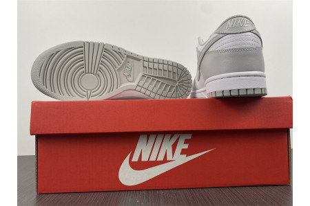 Nike Dunk Low Grey Fog DD1391-103