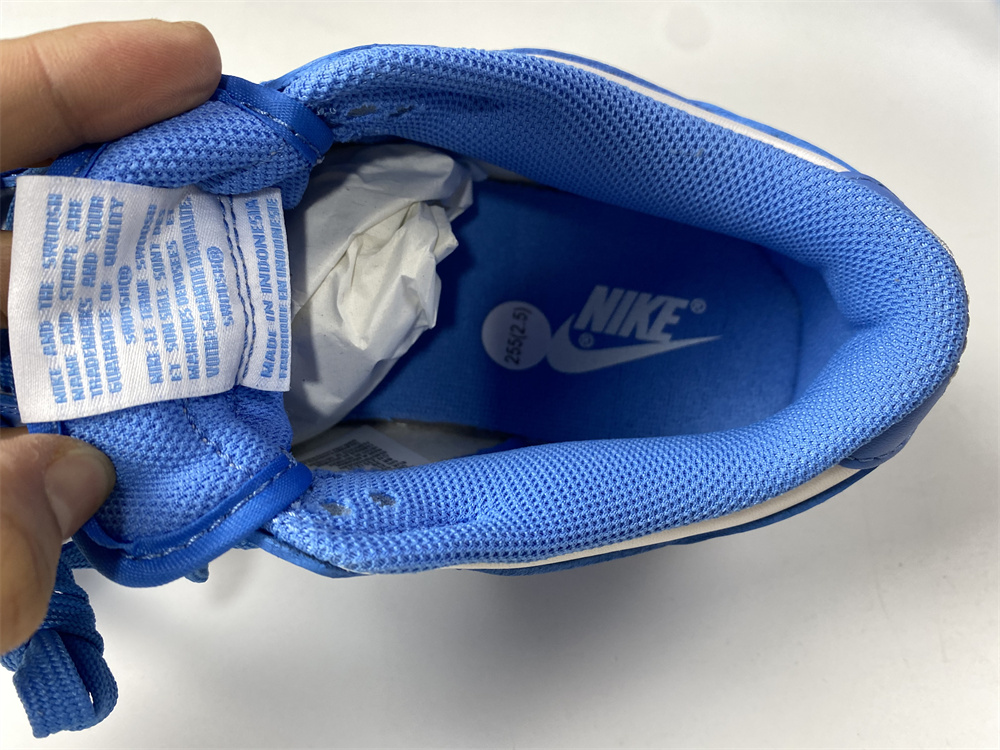 Nike Dunk Low UNC (2021)