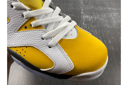 Air Jordan 6 Yellow Ochre CT8529-170