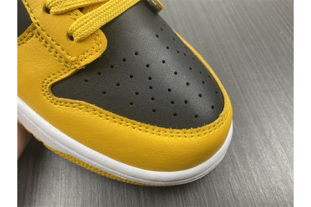 Nike Dunk Low Goldenrod (2021) DD1391-004