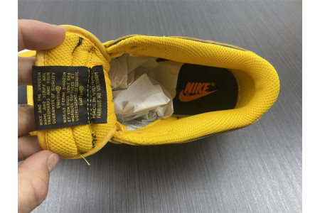 Nike Dunk Low Goldenrod (2021) DD1391-004