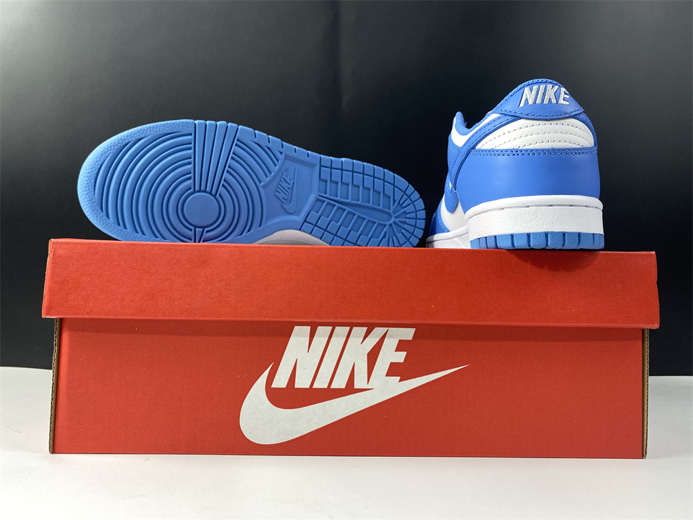 Nike Dunk Low UNC (2021)