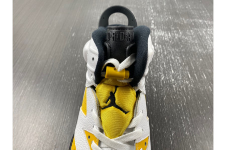 Air Jordan 6 Yellow Ochre CT8529-170