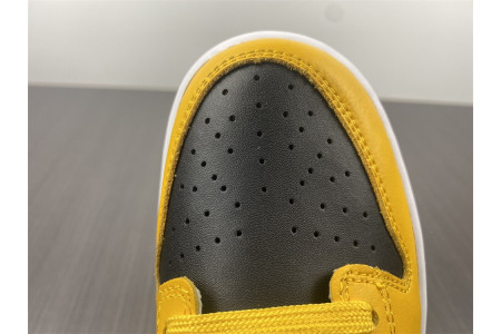 Nike Dunk Low Goldenrod (2021) DD1391-004