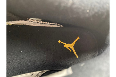 Air Jordan 6 Yellow Ochre CT8529-170