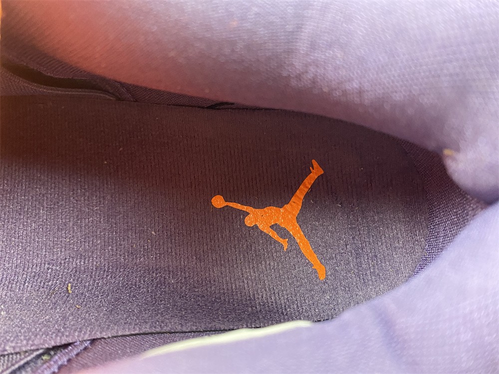Jordan 4 Retro Canyon Purple