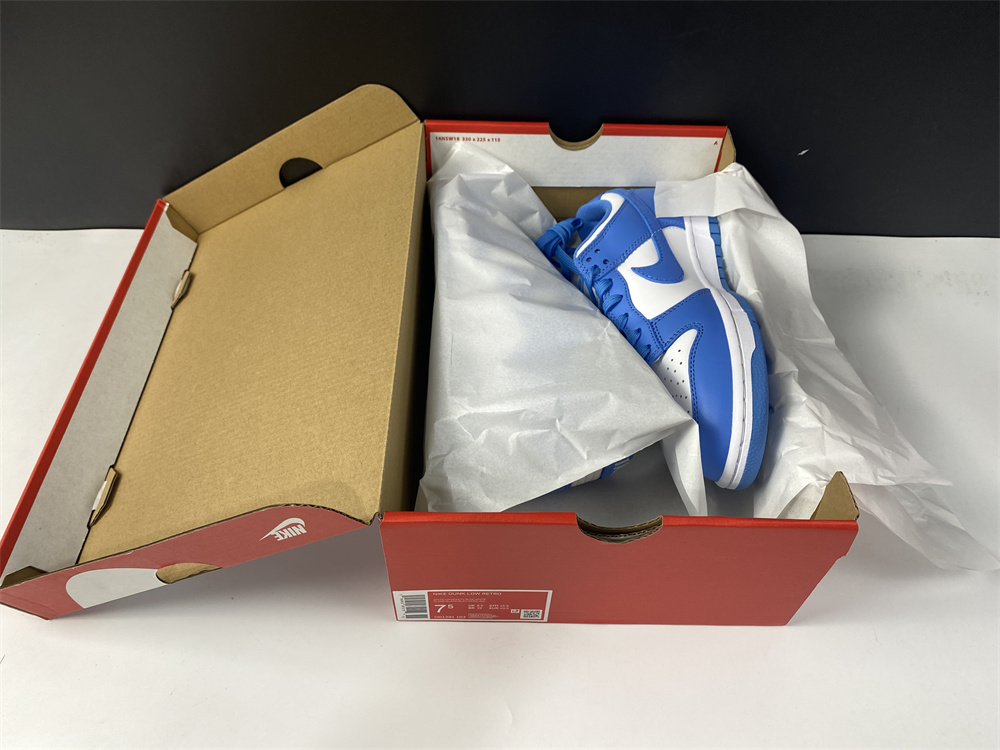 Nike Dunk Low UNC (2021)