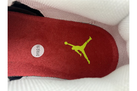 Air Jordan 4 Retro Doernbecher 308497-015