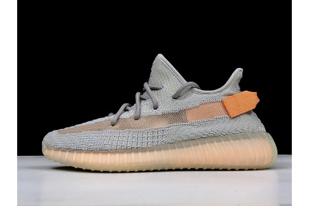 Adidas Yeezy Boost 350 V2 True Form EG7492