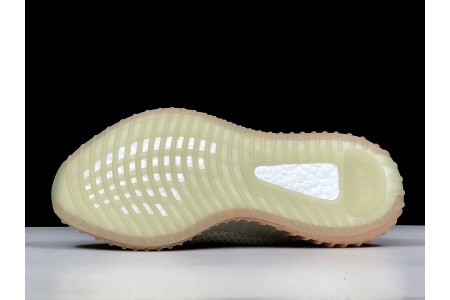 Adidas Yeezy Boost 350 V2 True Form EG7492
