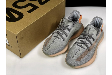 Adidas Yeezy Boost 350 V2 True Form EG7492