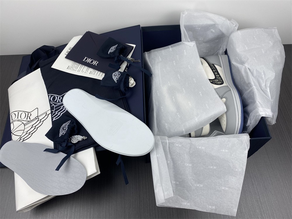 Jordan 1 Retro High Dior