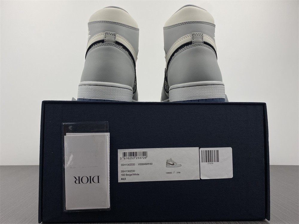 Jordan 1 Retro High Dior