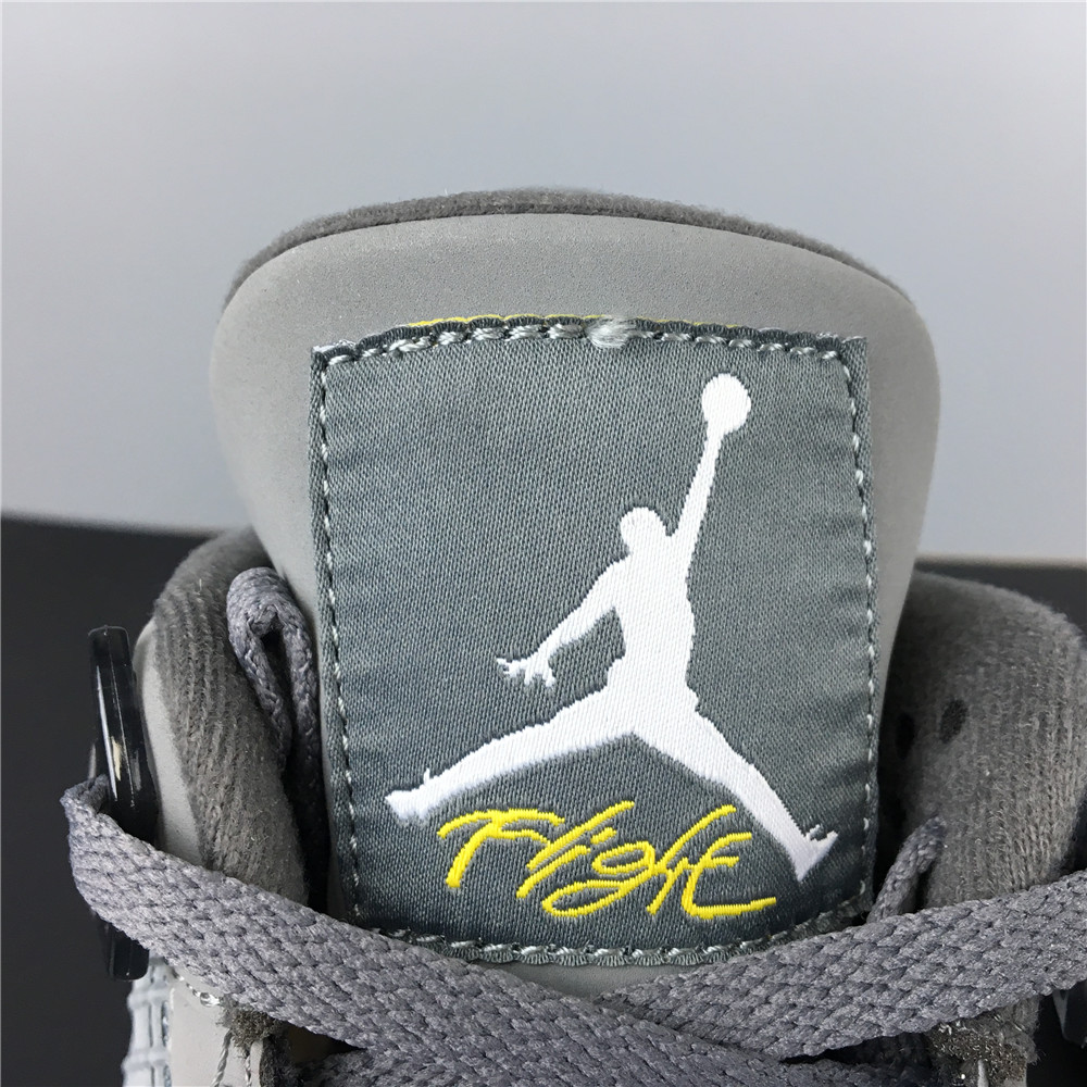 Jordan 4 Retro Cool Grey (2019)