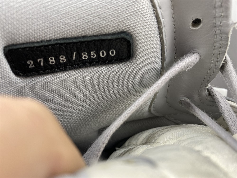 Jordan 1 Retro High Dior