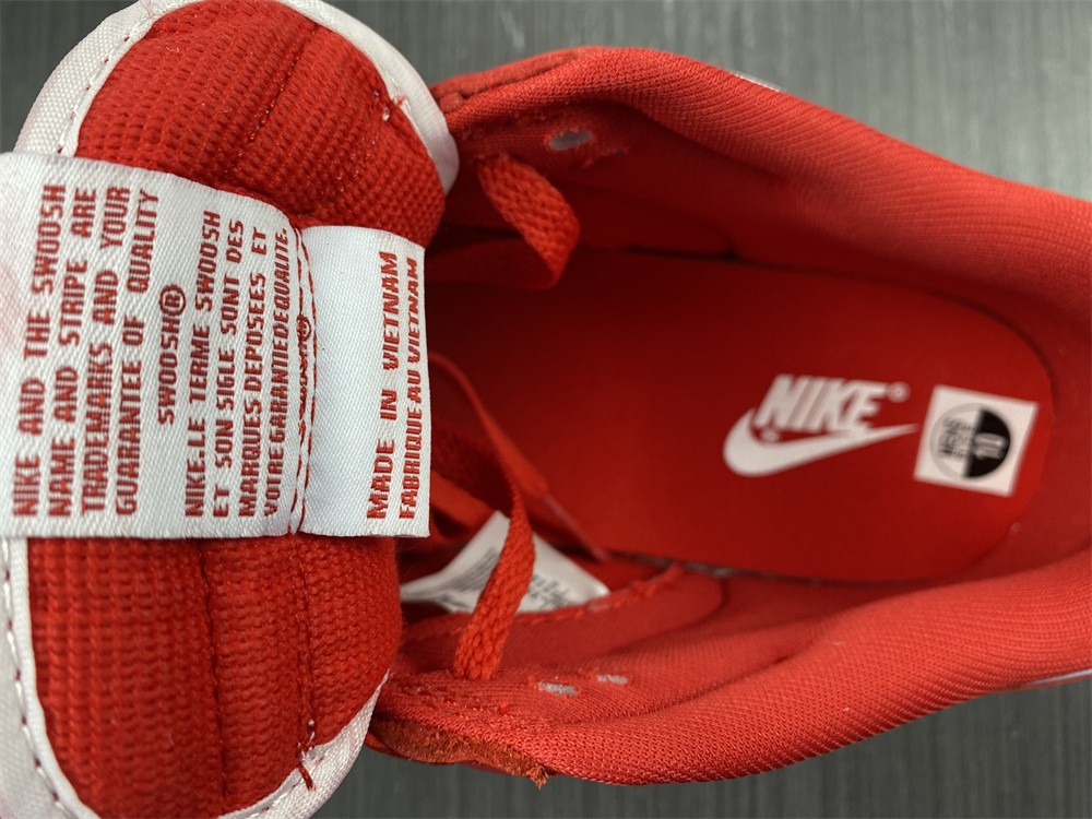Nike Dunk Low University Red (2020)